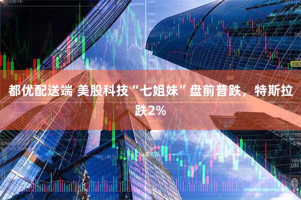 都优配送端 美股科技“七姐妹”盘前普跌，特斯拉跌2%