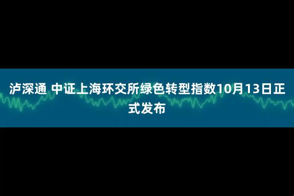 泸深通 中证上海环交所绿色转型指数10月13日正式发布