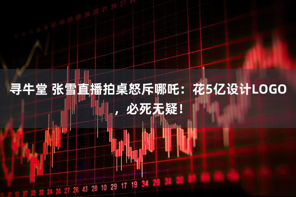 寻牛堂 张雪直播拍桌怒斥哪吒：花5亿设计LOGO，必死无疑！